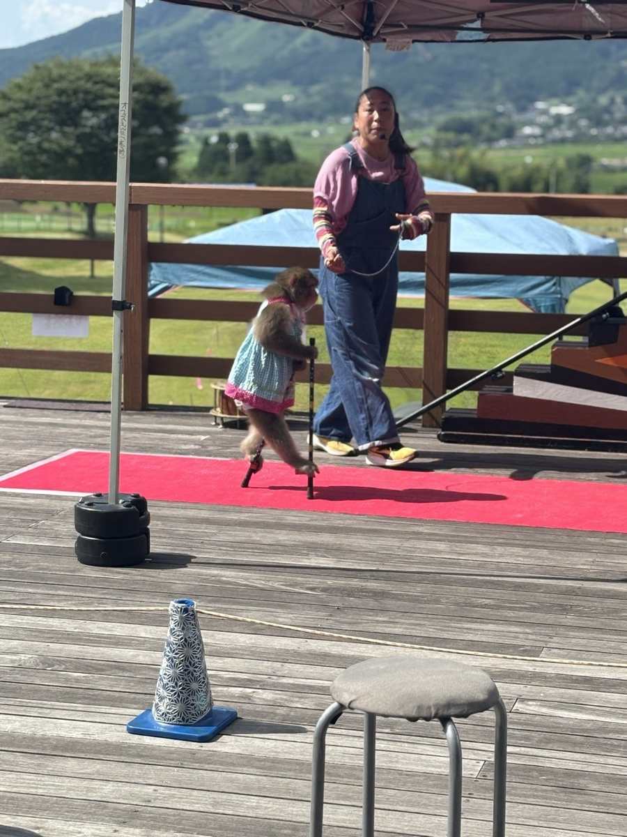 あそ望の郷くぎので行われた猿まわしの公演